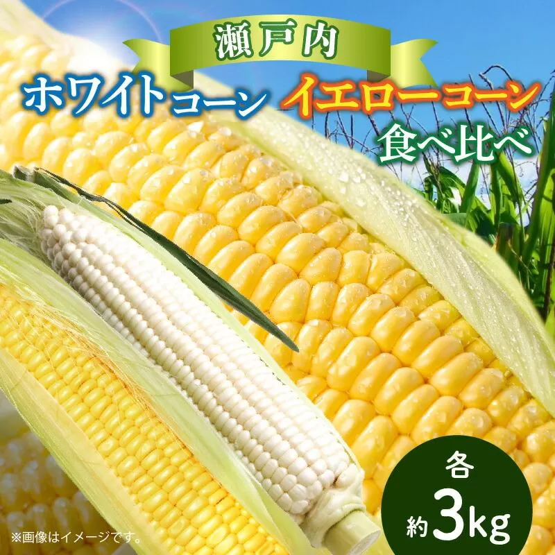 瀬戸内ホワイトコーン・イエローコーン食べ比べ 各約3kg【2027-6月中旬~2027-7月中旬配送】