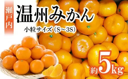 【先行予約】瀬戸内温州みかん　小粒サイズ　約5kg【2025年10月中旬〜2026年1月下旬配送】