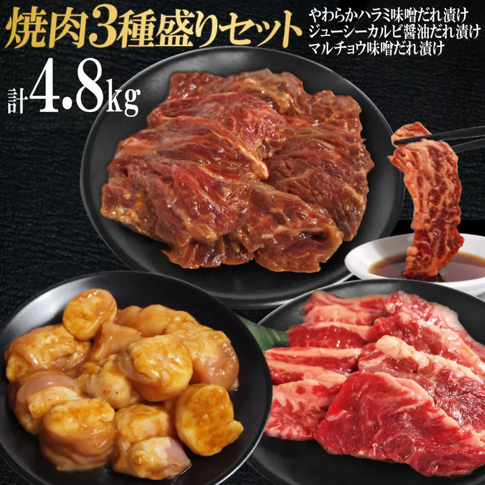 焼肉3種盛りセット(ハラミ・カルビ・マルチョウ)4.8kg