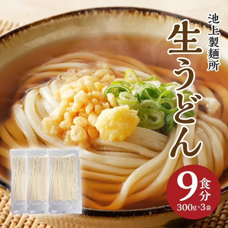 本家　池上製麺所　生うどん9食（麺のみ）