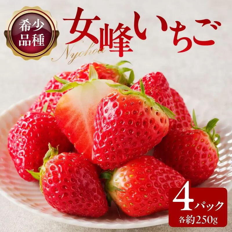 希少品種 女峰いちご4パック(各約250g)【2027年1月中旬~2027年6月下旬配送】