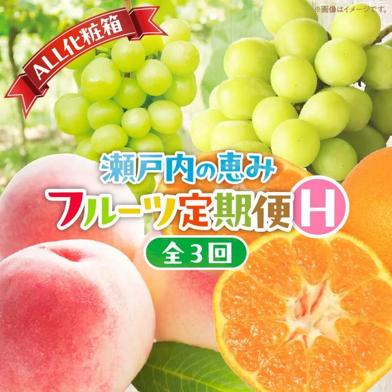 【ALL化粧箱】【3回お届け】高松市自慢のフルーツ定期便【H】