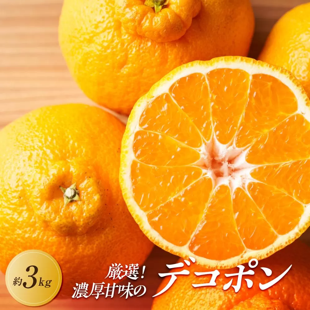 【2026年3月上旬より順次発送】厳選！濃厚甘味の「不知火(しらぬい)」約3kg｜果物 くだもの フルーツ 柑橘 みかん 不知火  濃厚 甘い ミカン 人気 おすすめ 先行予約 香川 高松
