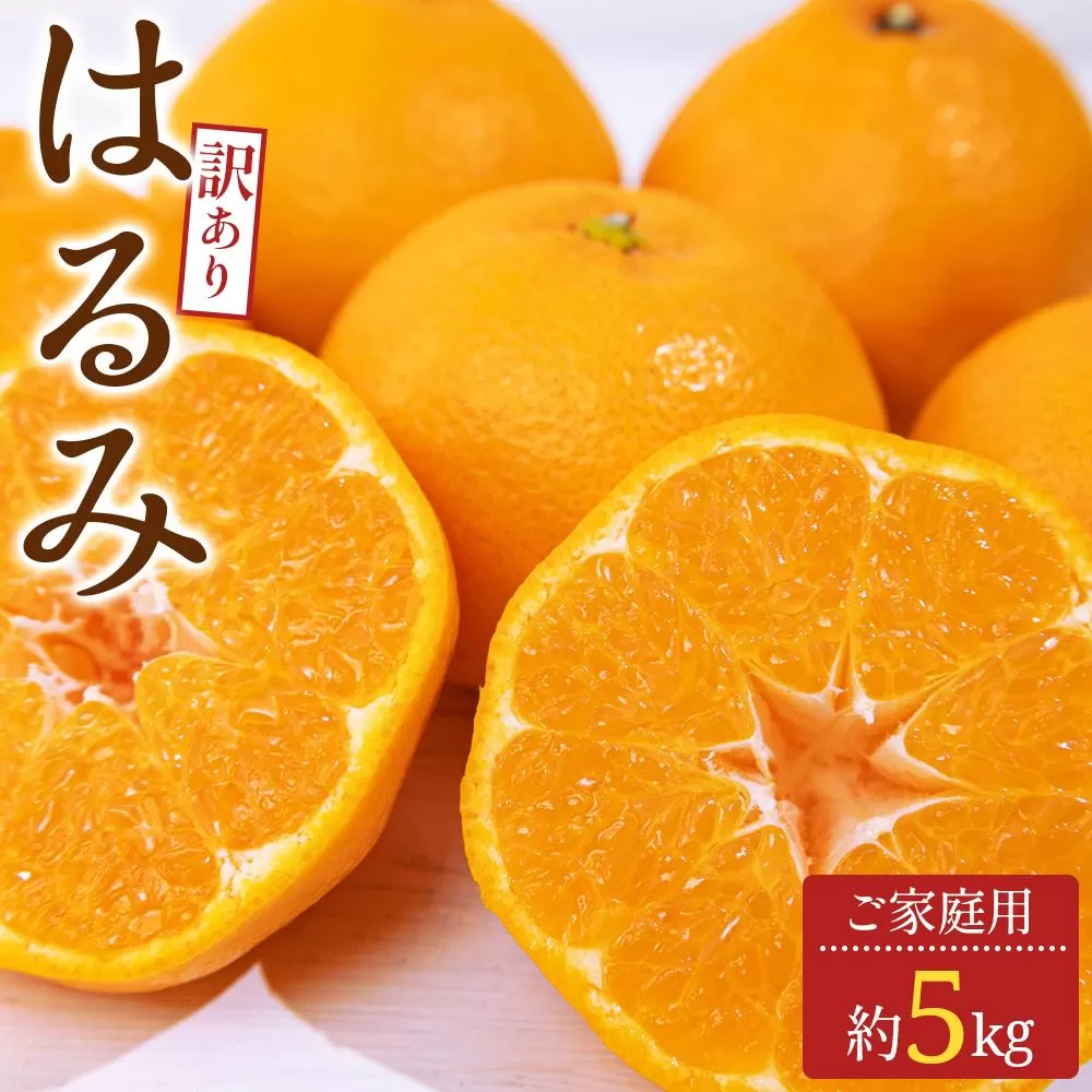 訳あり ご家庭用 はるみ 約5kg【2026-2月上旬〜2026-3月下旬配送】