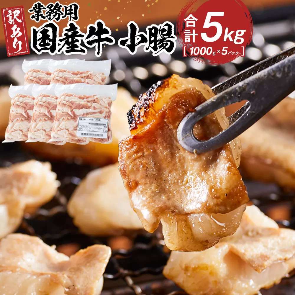 《業務用・訳アリ》国産牛 小腸 5kg