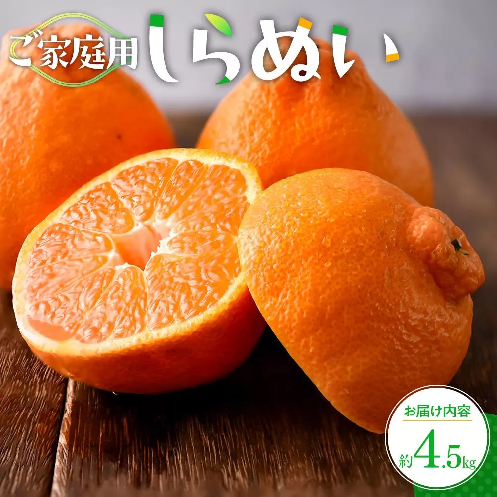 ご家庭用　しらぬい　約4.5kg【2026年2月下旬〜2026年4月上旬配送】