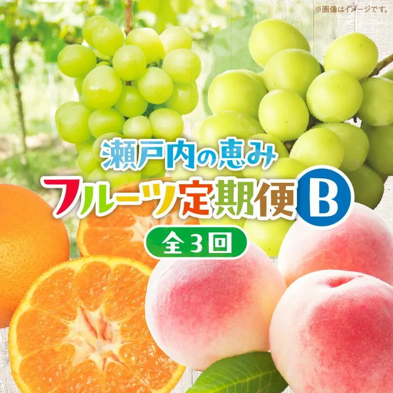 【3回お届け】高松市自慢のフルーツ定期便【B】