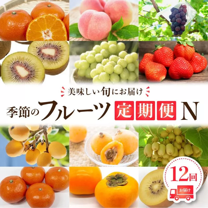 季節のフルーツ  厳選 高松市 12回 [旬な季節に合計12回発送]定期便N