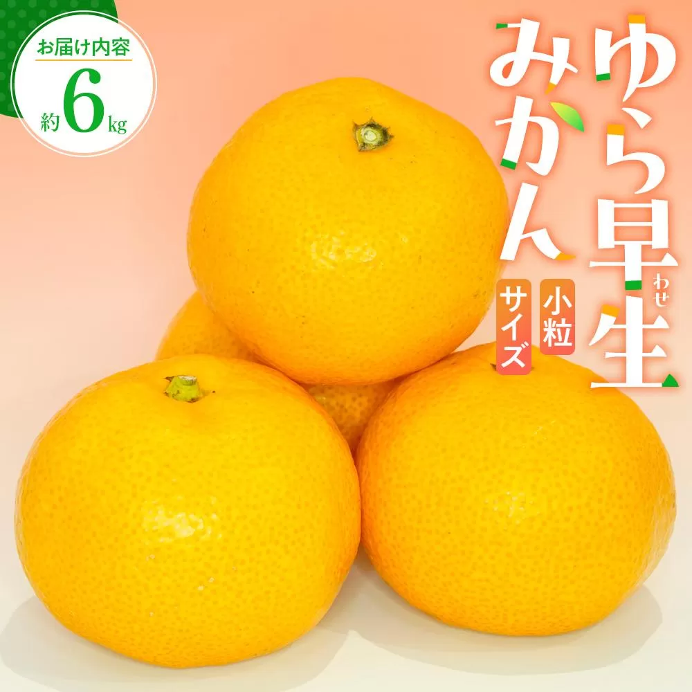 小粒サイズ ゆら早生 みかん 約6kg 【2025-9月下旬〜2025-11月上旬配送】
