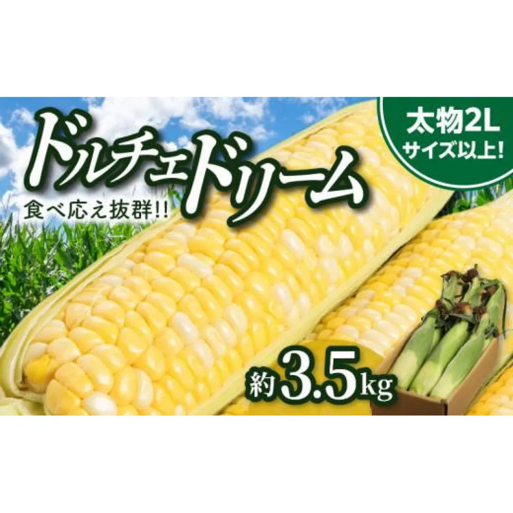 食べ応え抜群 太物2Lサイズ以上!ドルチェドリーム 約3.5kg【2027-6月上旬～2027-7月上旬配送】