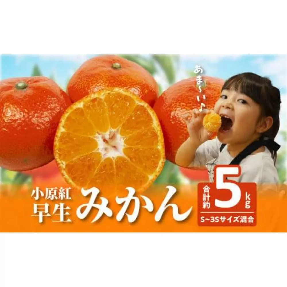 【訳あり】ご家庭用　小原紅早生みかん(サイズおまかせ)約5kg【2025年11月中旬〜2026年1月中旬配送】