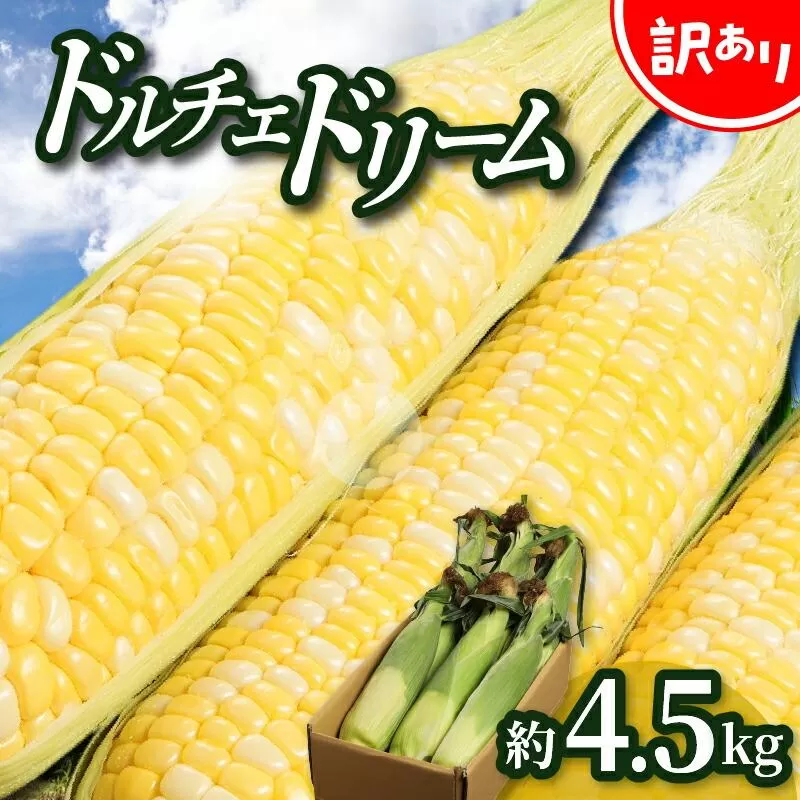 ＼寄附額改定／訳あり ご家庭用ドルチェドリーム 約4.5kg【2026年6月上旬～2026年7月上旬配送】