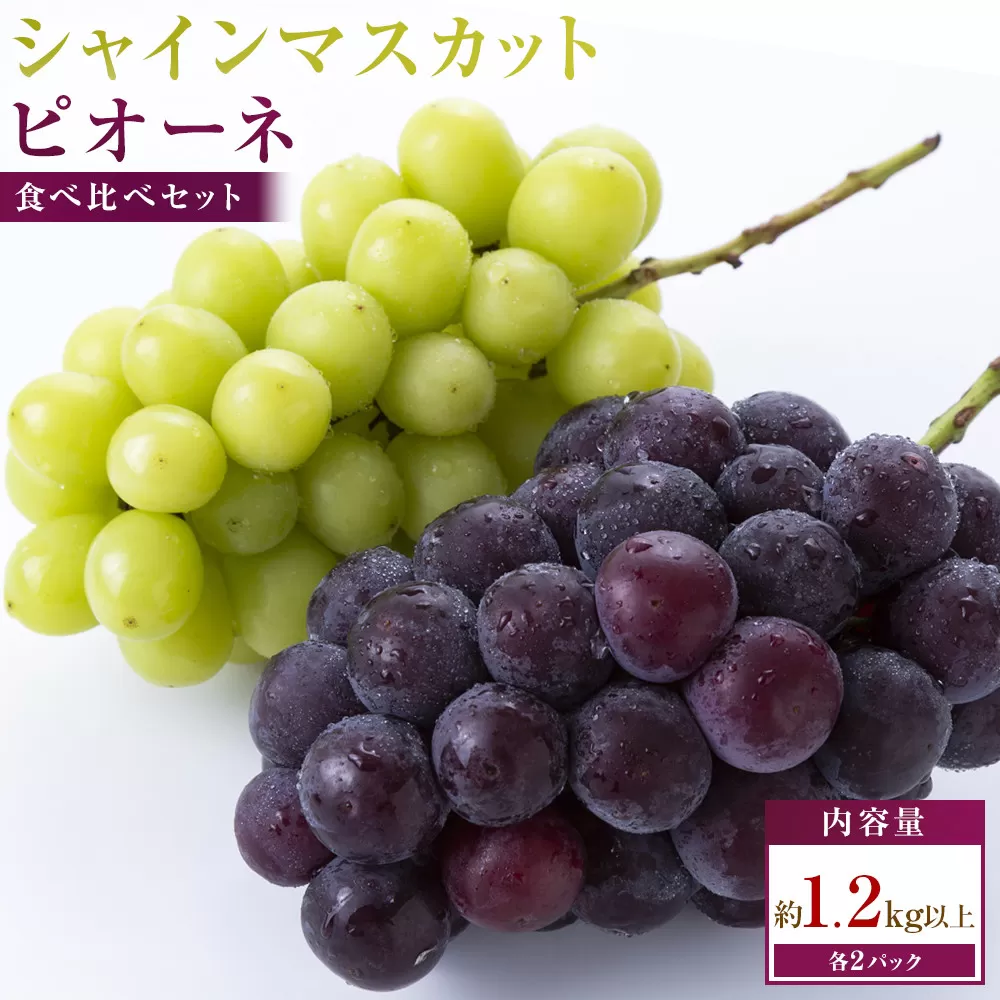 シャインマスカット+ピオーネ パック食べ比べセット 約1.2kg以上(各2パック)