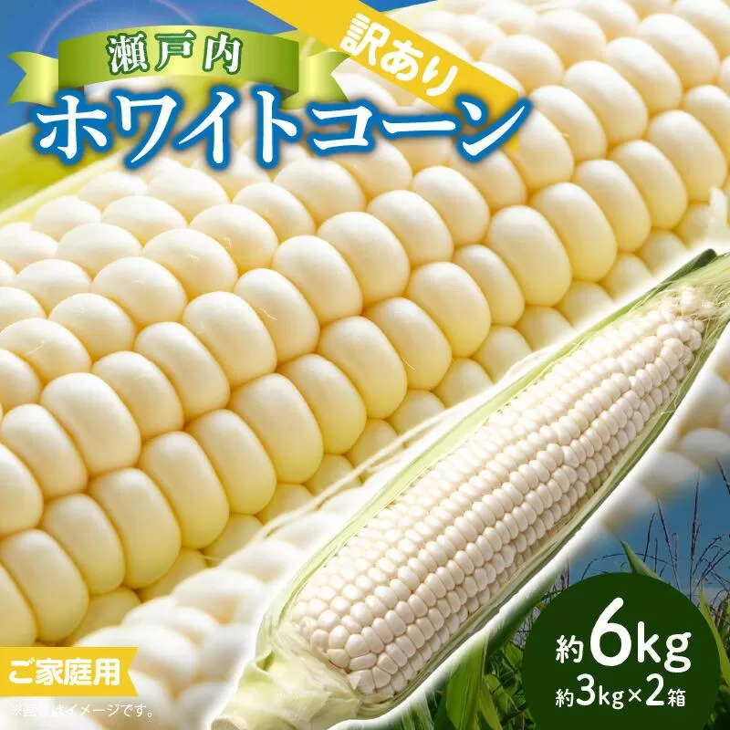 訳あり ご家庭用 瀬戸内ホワイトコーン 約6kg【2027-6月中旬~2027-7月中旬配送】
