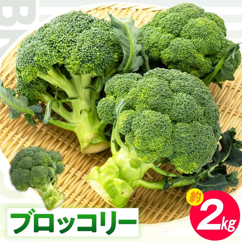 ブロッコリー 約2kg【2026-11月中旬～2027-5月下旬配送】