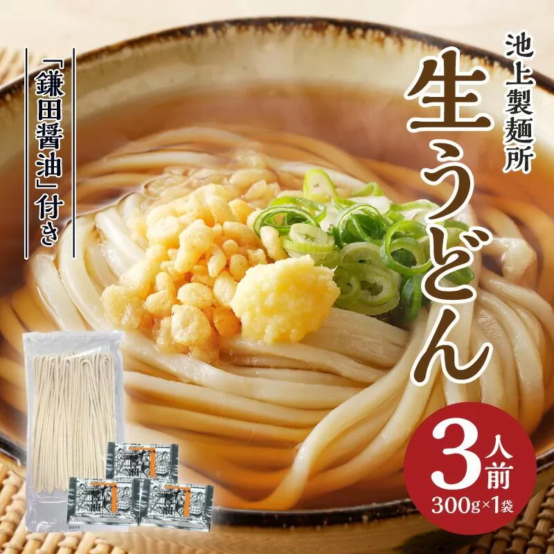 本家　池上製麺所　生うどん（鎌田醤油付）1袋（3人前）