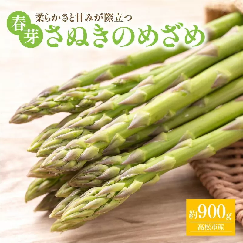 柔らかさと甘みが際立つ さぬきのめざめ春芽 約900g【2027-3月上旬～2027-6月下旬配送】
