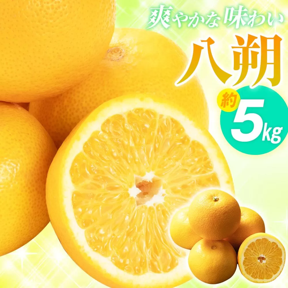 爽やかな味わい 八朔 約5kg【2026年2月中旬〜2026年3月下旬配送】