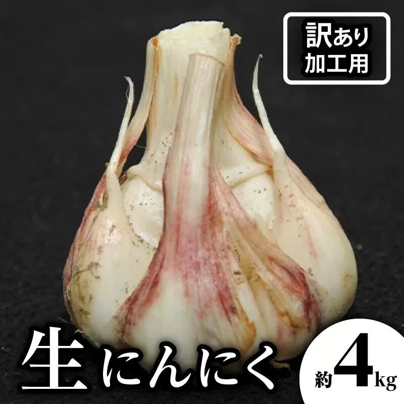 加工用 訳あり 生にんにく 約4kg【2027-5月上旬~2027-6月上旬配送】
