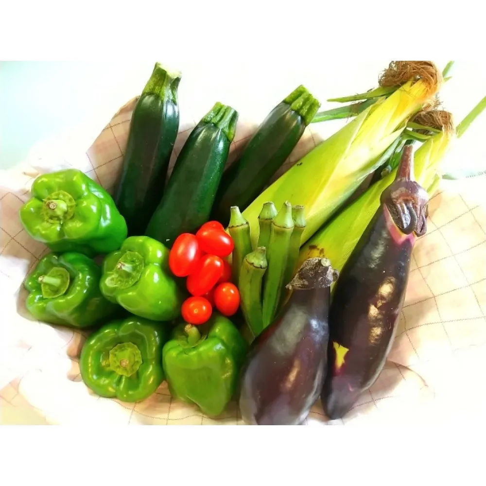 瀬戸ガーネット　500gと夏野菜詰め合わせセット1～2人分【6月下旬以降発送】