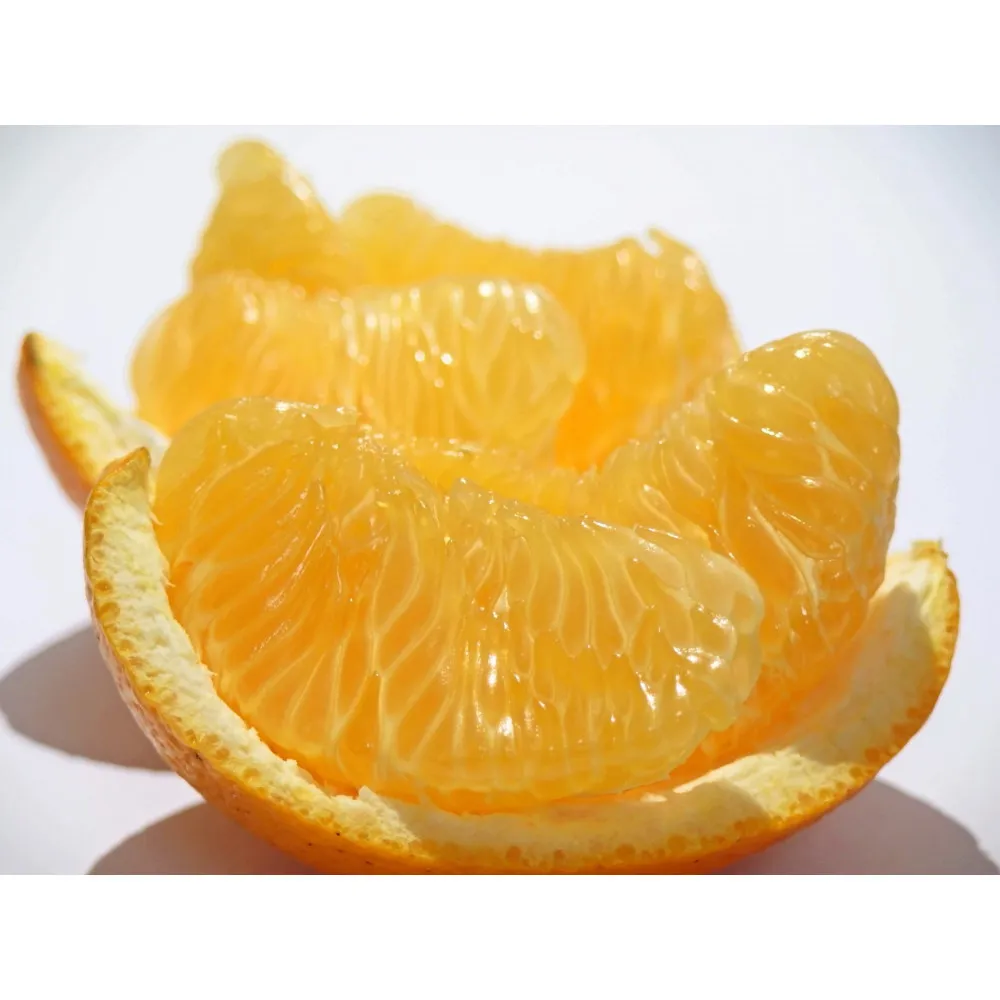 ≪ご褒美ふるーつ≫「完熟ハッサク」約3.8kg【2027年3月上旬頃お届け】