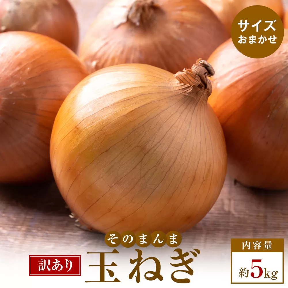 訳ありそのまんま玉ねぎ　約5kg