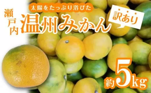 【訳あり】太陽たっぷり浴びた　瀬戸内温州みかん　約5kg【2025-10月上旬〜2026-1月中旬配送】