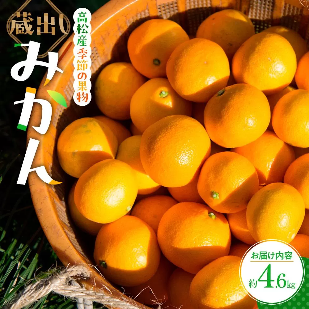 蔵出しみかん 約4.6kg【2026年1月下旬〜2026年3月下旬配送】
