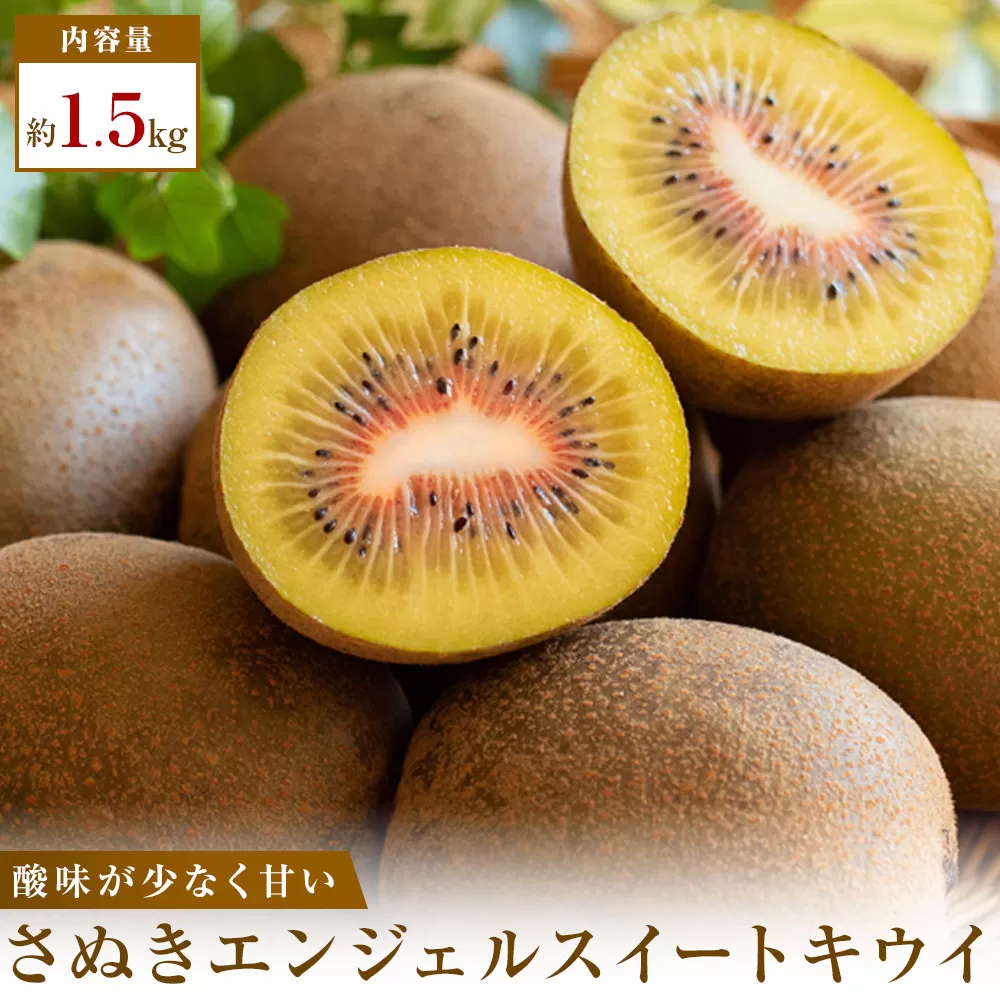 《感謝企画》【先行受付2026年】さぬきエンジェルスイートキウイ　約1.5kg