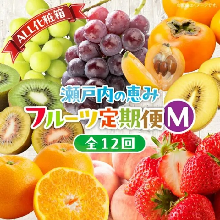 【ALL化粧箱】【12回毎月お届け】高松市自慢のフルーツ定期便【M】