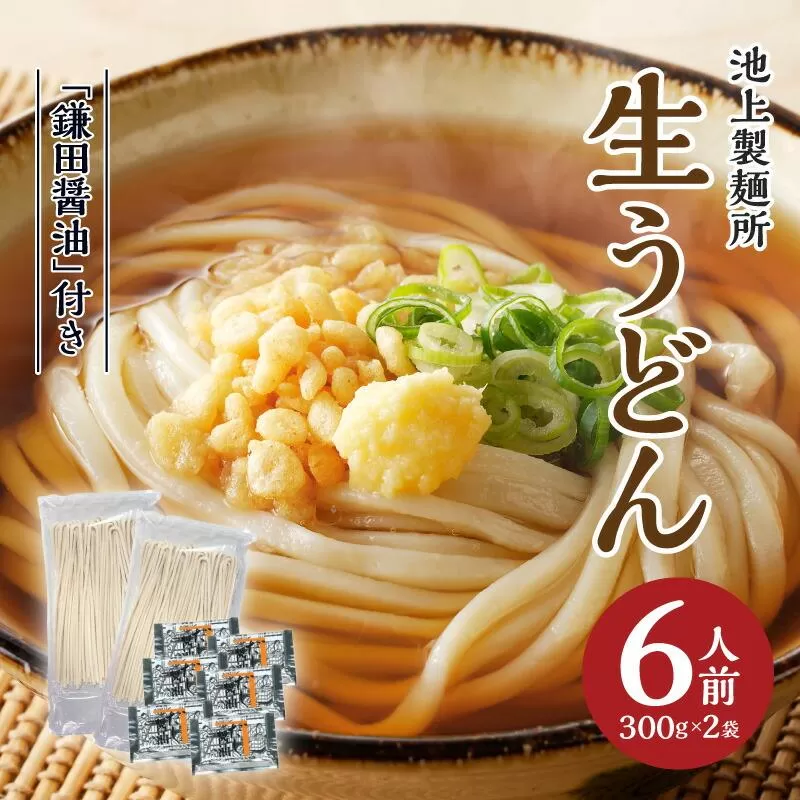 本家　池上製麺所　生うどん（鎌田醤油付）2袋（6人前）