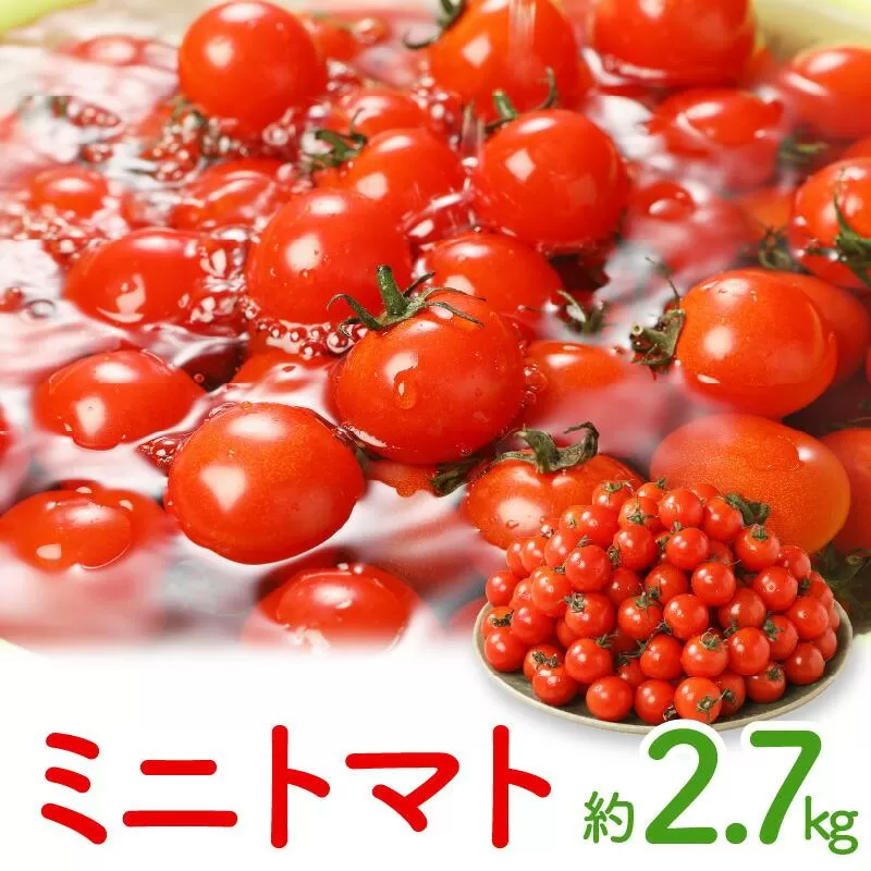 ミニトマト約2.7kg【2026-11月上旬~2027-6月中旬配送】