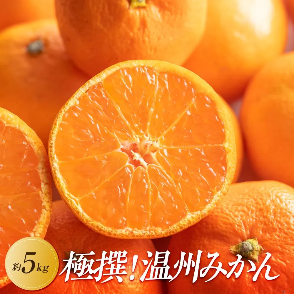 【2025年11月上旬より順次発送】極撰！温州みかん　約5kg｜果物 くだもの フルーツ 柑橘 みかん 温州みかん 人気 おすすめ 先行予約 香川 高松