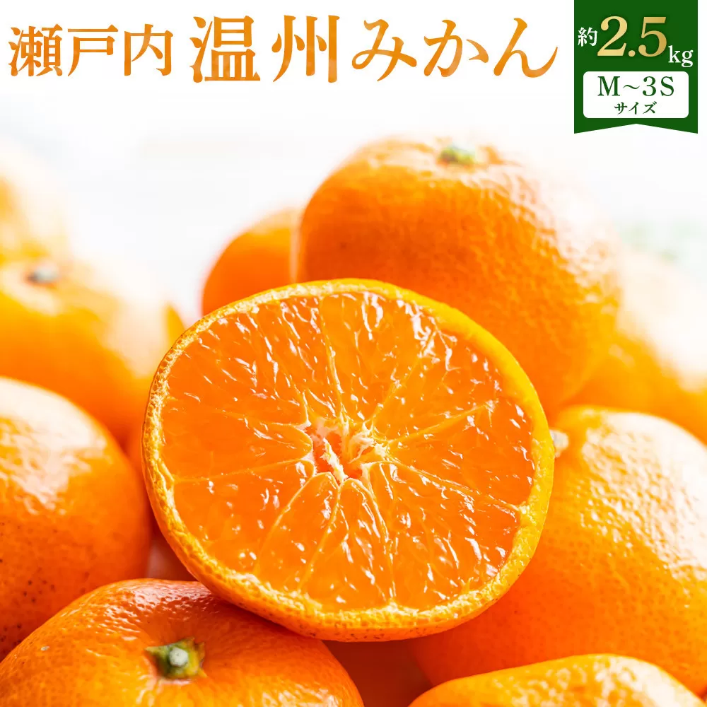 【先行予約】瀬戸内温州みかん　M～3Sサイズ　約2.5kg【2026年10月上旬～2027年1月下旬配送予定】