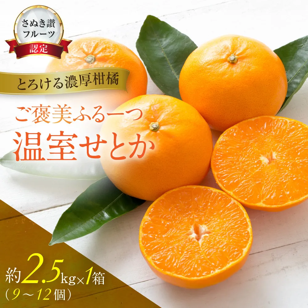 ≪香川・高松≫ご褒美ふるーつ「温室せとか」約2.5kg【2027年2月上旬からお届け】