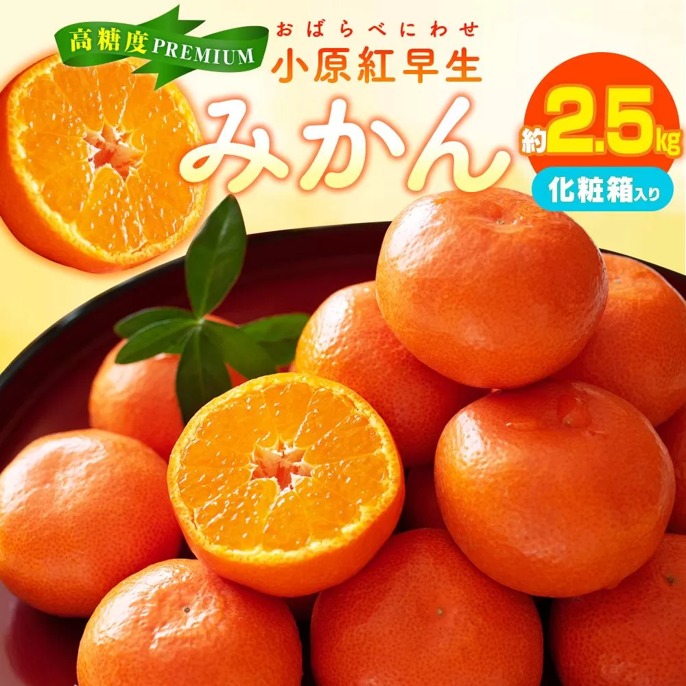 高糖度　プレミアム小原紅早生みかん化粧箱　約2.5kg【2025-11月中旬〜2026-1月中旬配送】