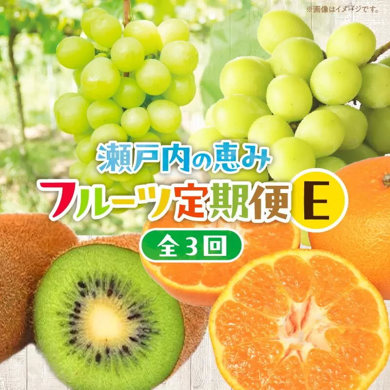 【3回お届け】高松市自慢のフルーツ定期便【E】