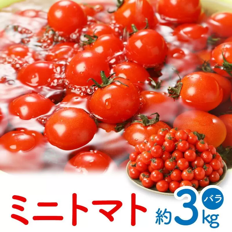 ミニトマト(バラ) 約3kg【2026-11月上旬～2027-6月中旬配送】