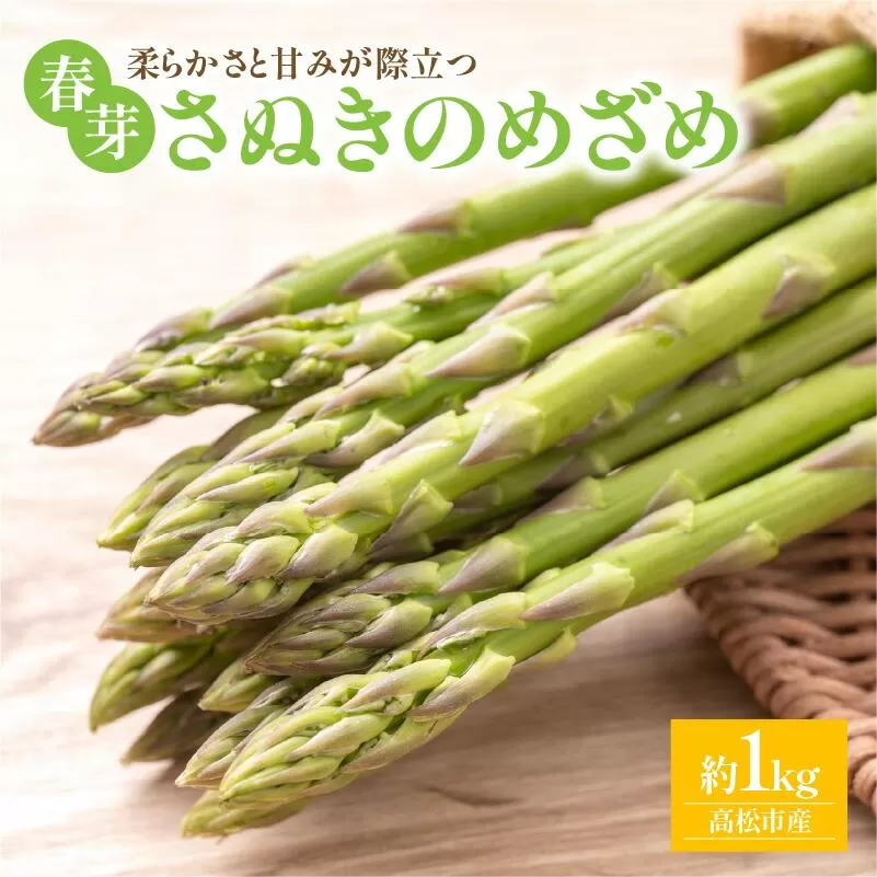 柔らかさと甘みが際立つ さぬきのめざめ春芽 約1kg【2027-3月上旬～2027-5月上旬配送】