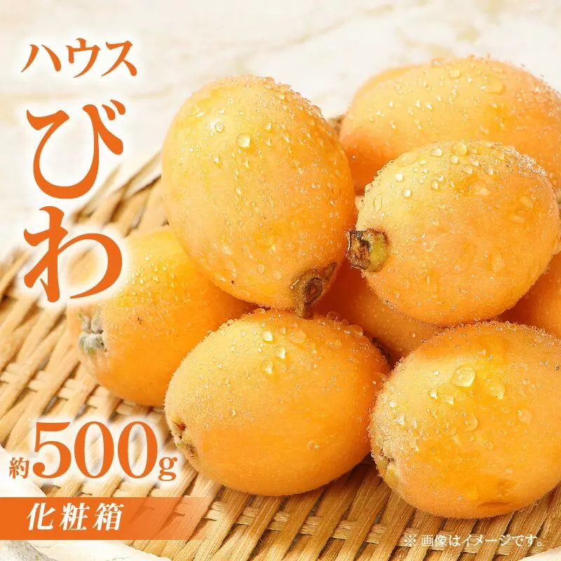 ハウスびわ化粧箱 約500g【2027-4月中旬~2027-5月下旬配送】