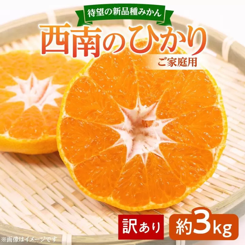 【訳あり 】待望の新品種みかん　西南のひかり　ご家庭用　約3kg【2025-12月上旬〜2026-1月上旬配送】