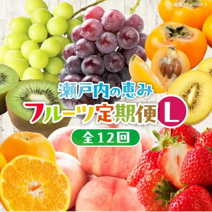 【12回毎月お届け】高松市自慢のフルーツ定期便【L】