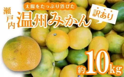【訳あり】太陽たっぷり浴びた　瀬戸内温州みかん　約10kg【2025-10月上旬〜2026-1月中旬配送】