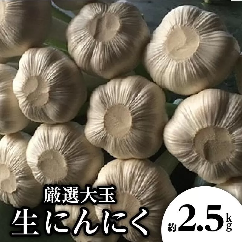 厳選大玉 生にんにく 約2.5kg【2027-5月上旬~2027-6月上旬配送】