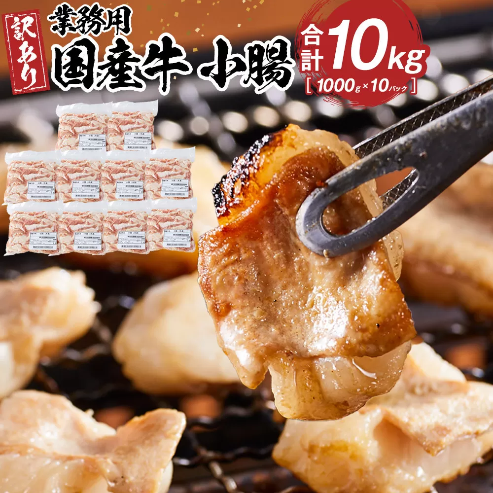 《業務用・訳アリ》国産牛 小腸 10kg