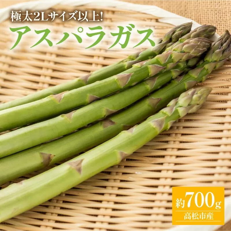 期間限定企画 極太2Lサイズ以上! アスパラガス 約700g【2027-3月上旬~2027-4月下旬配送】
