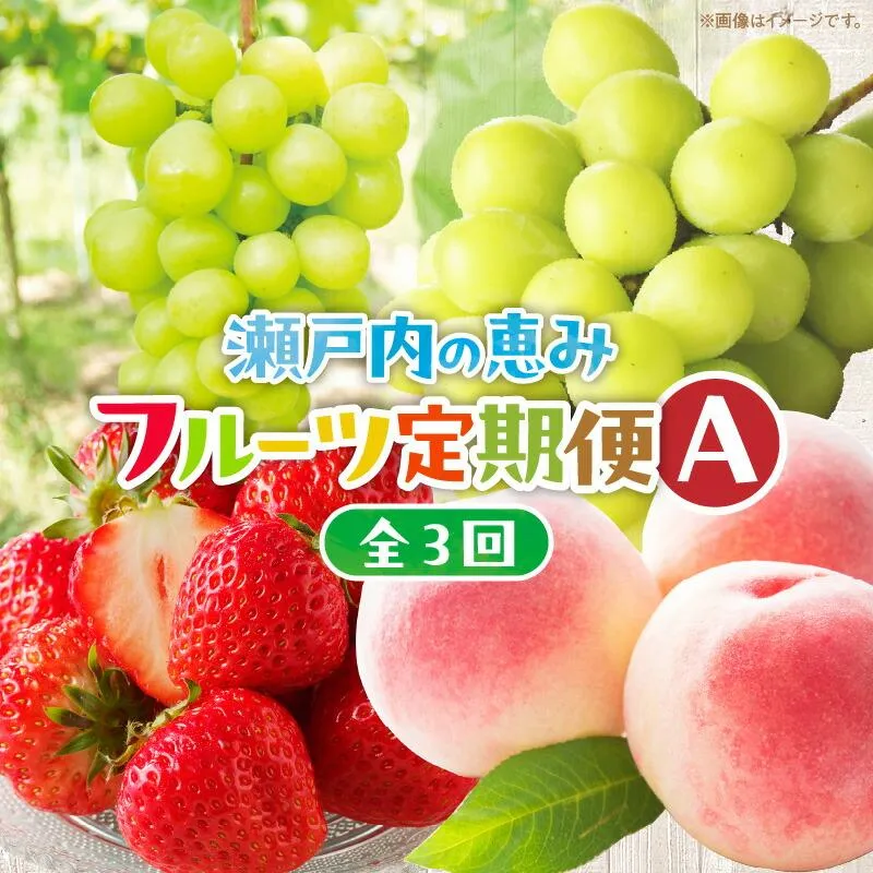 【3回お届け】高松市自慢のフルーツ定期便【A】