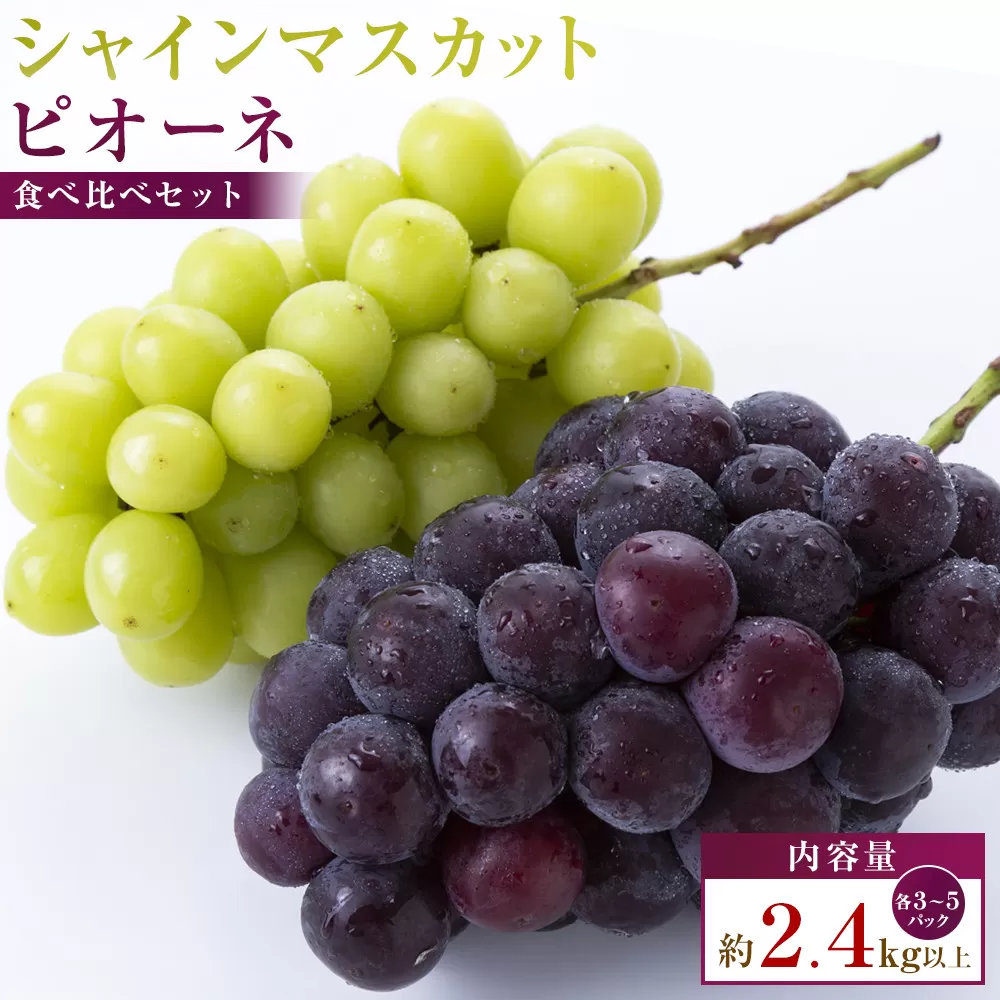 シャインマスカット+ピオーネ パック食べ比べセット 約2.4kg以上(各3~5パック)