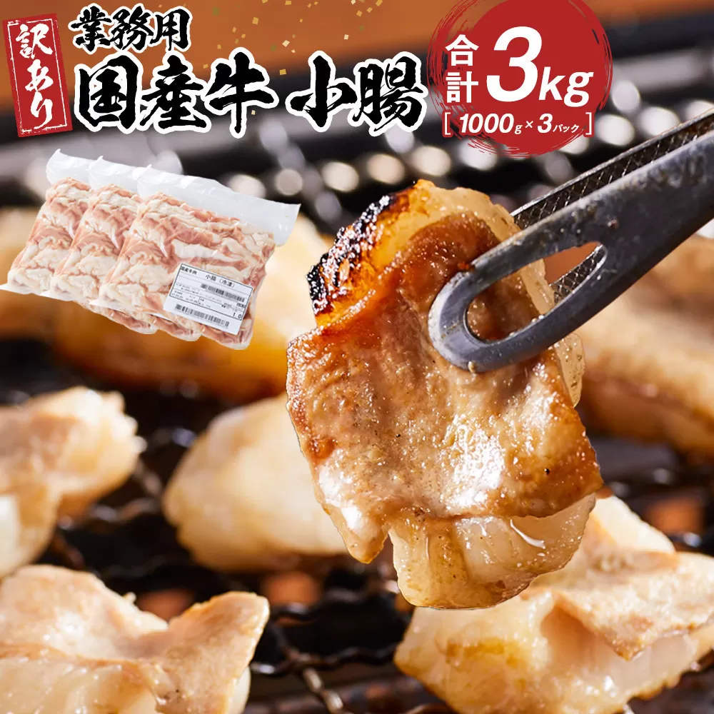 《業務用・訳アリ》国産牛 小腸 3kg