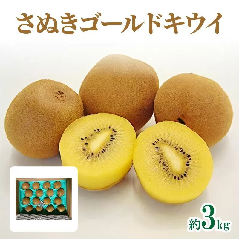 さぬきゴールドキウイ　約3kg【2026年10月中旬～2027年1月下旬配送】